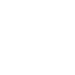Vodacom Logo